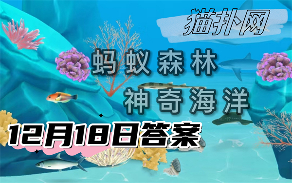 蚂蚁森林神奇海洋12月18日答案2024-草莓海葵是一种什么类型生物