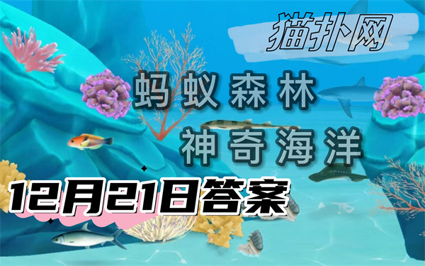 蚂蚁森林神奇海洋12月21日答案2024-海洋大白鲨是变温动物吗