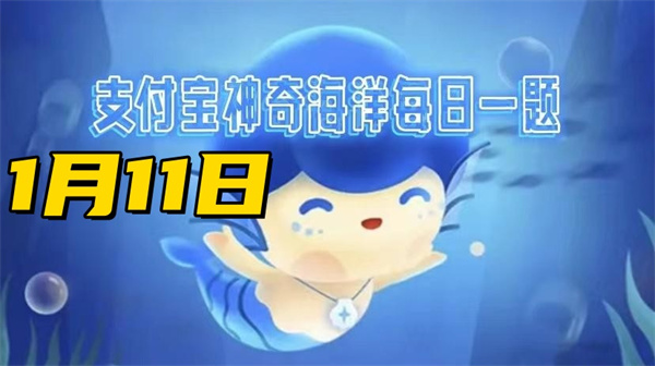 神奇海洋1月11日答案2025-哪种珊瑚有会走路的珊瑚之称