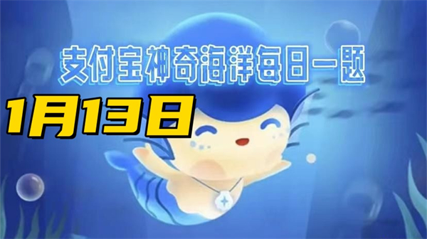 神奇海洋1月13日答案2025-猜一猜以下哪种鲸喷出的水柱是双股的