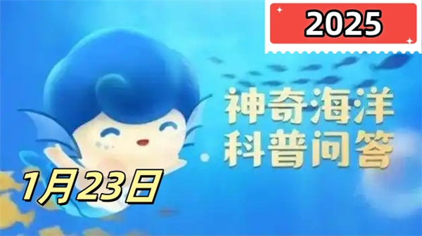 神奇海洋1月23日答案2025-人们俗称的海鞭是以下哪种海洋生物