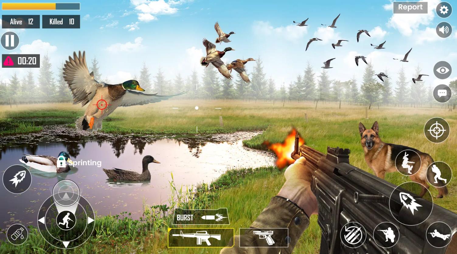 Jungle Bird Hunting Game 3D