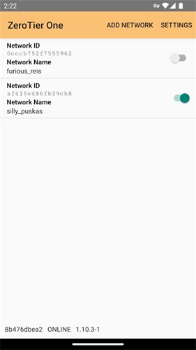 zerotierone安卓汉化版截图1
