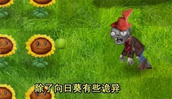 植物大战僵尸真实版