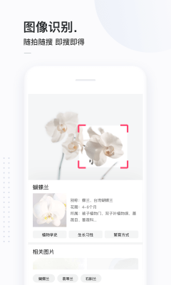 简单搜索永无广告app截图3