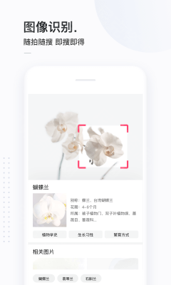 简单搜索永无广告app