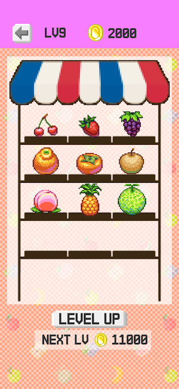 Fruit Shop