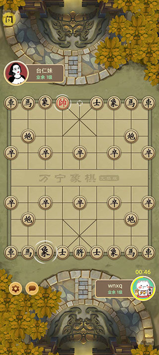 万宁象棋免广告最新版截图3