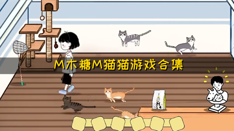 M木糖M猫猫