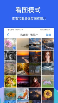 alook免费版截图1