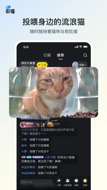 街猫截图1