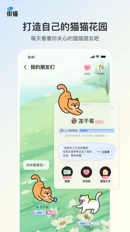 街猫截图3