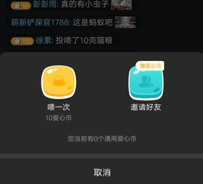 哈啰街猫app6