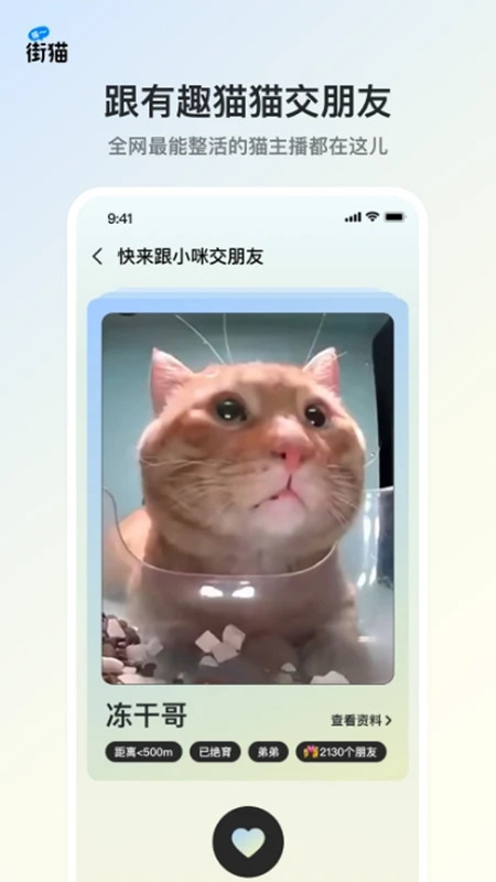 街猫云吸猫截图2