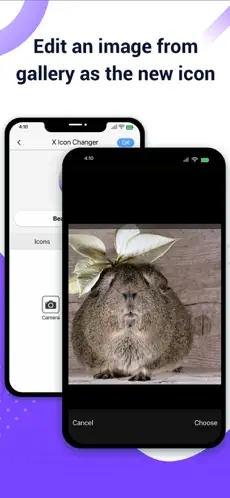 XIconChanger苹果版截图2
