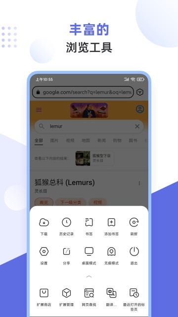 lemur浏览器截图1