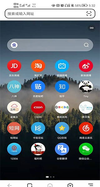 Lemur浏览器图片5