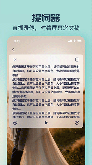 脸猫免费模板截图1