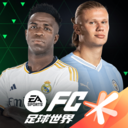 FIFA Mobile(FIFA足球世界体验服)