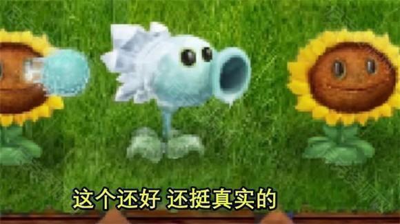 植物大战僵尸现实画风版