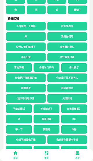 丁真盒截图2