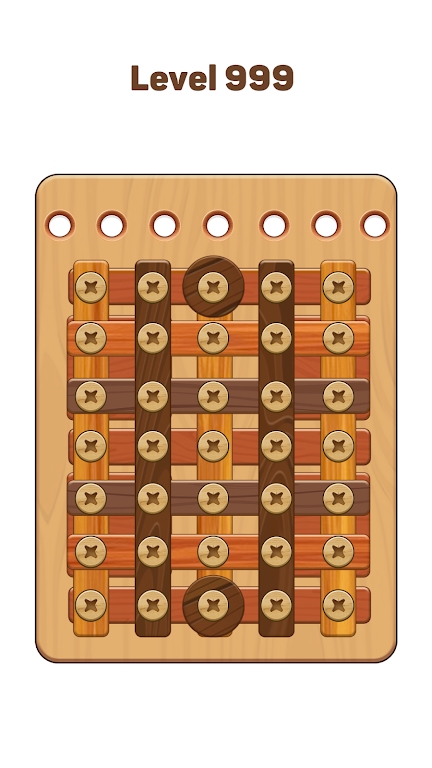 Wood Nuts Bolts Wood Puzzle截图2