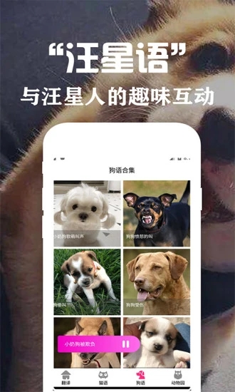 狗语翻译交流器截图5