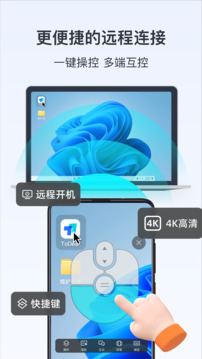 todesk远程控制截图1