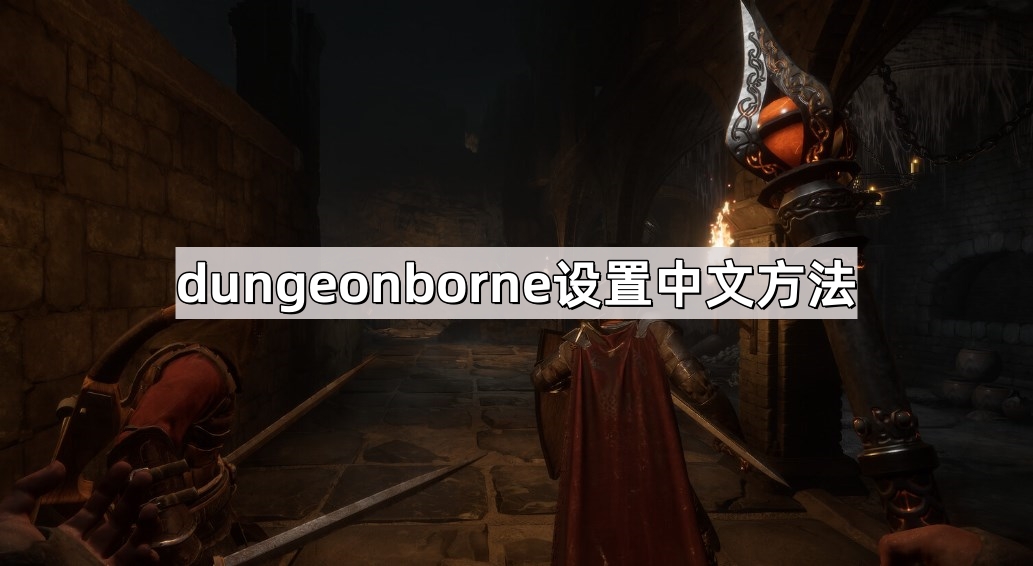dungeonborne设置中文方法