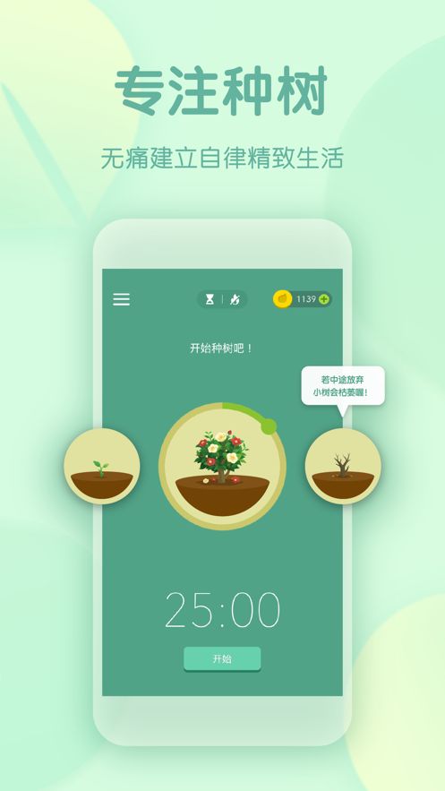 forest专注森林汉化版截图2