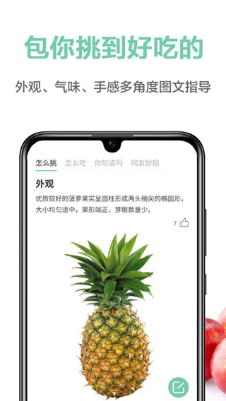 果蔬百科截图3