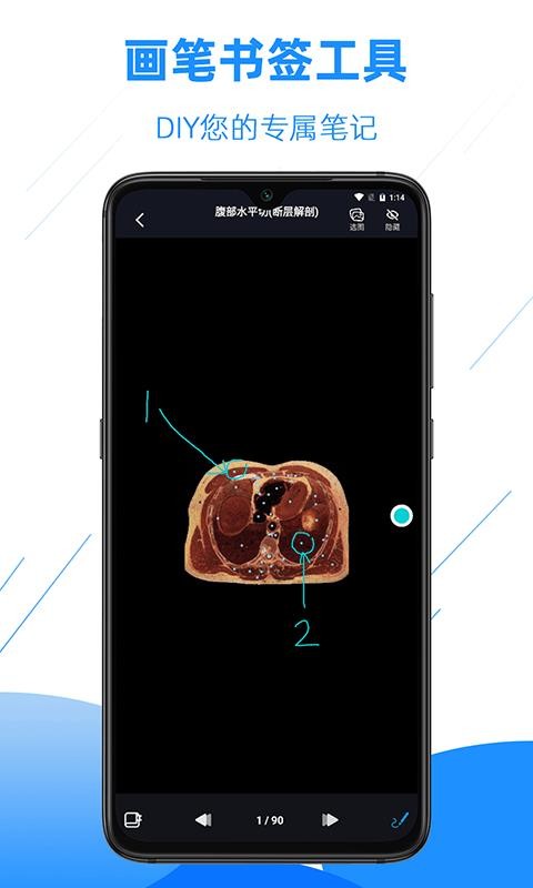 影像解剖图谱截图1