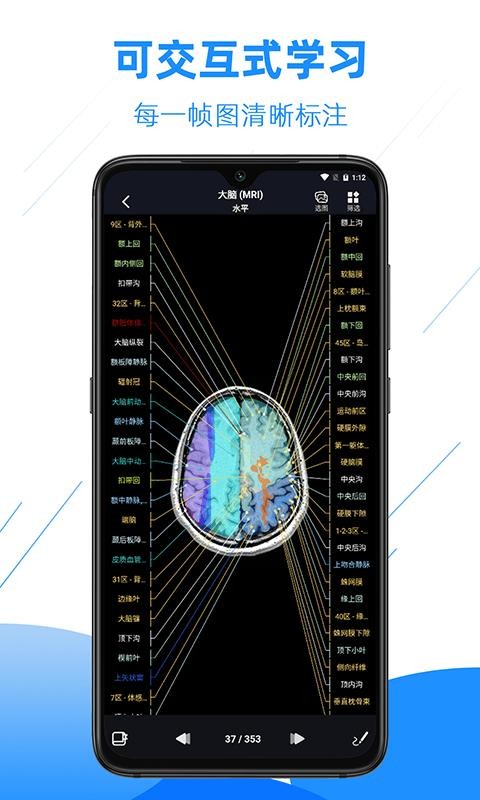 影像解剖图谱截图3