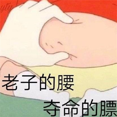 长胖可爱表情包