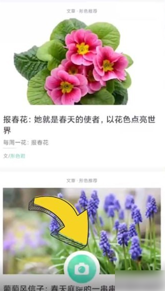 形色如何进行植物搜索 具体操作方法介绍