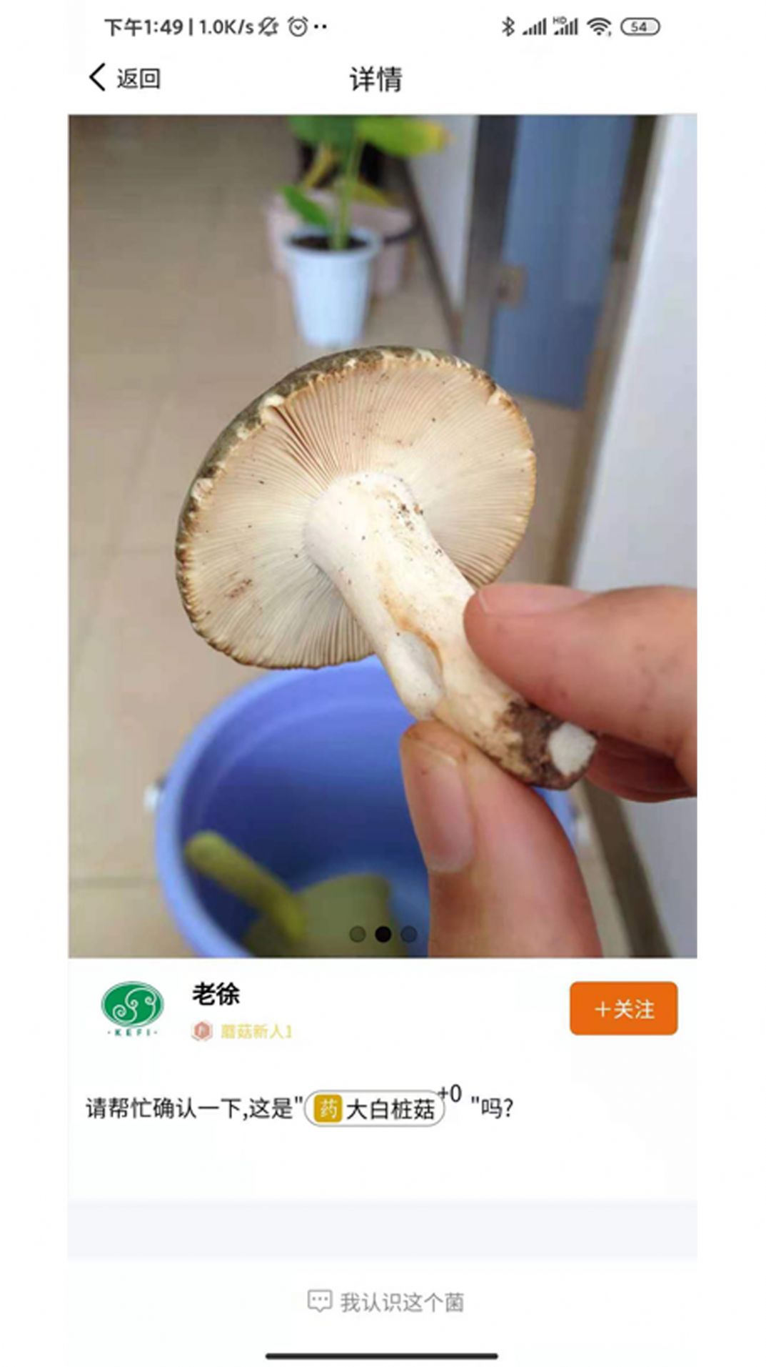 菌窝子拍照识菌软件app