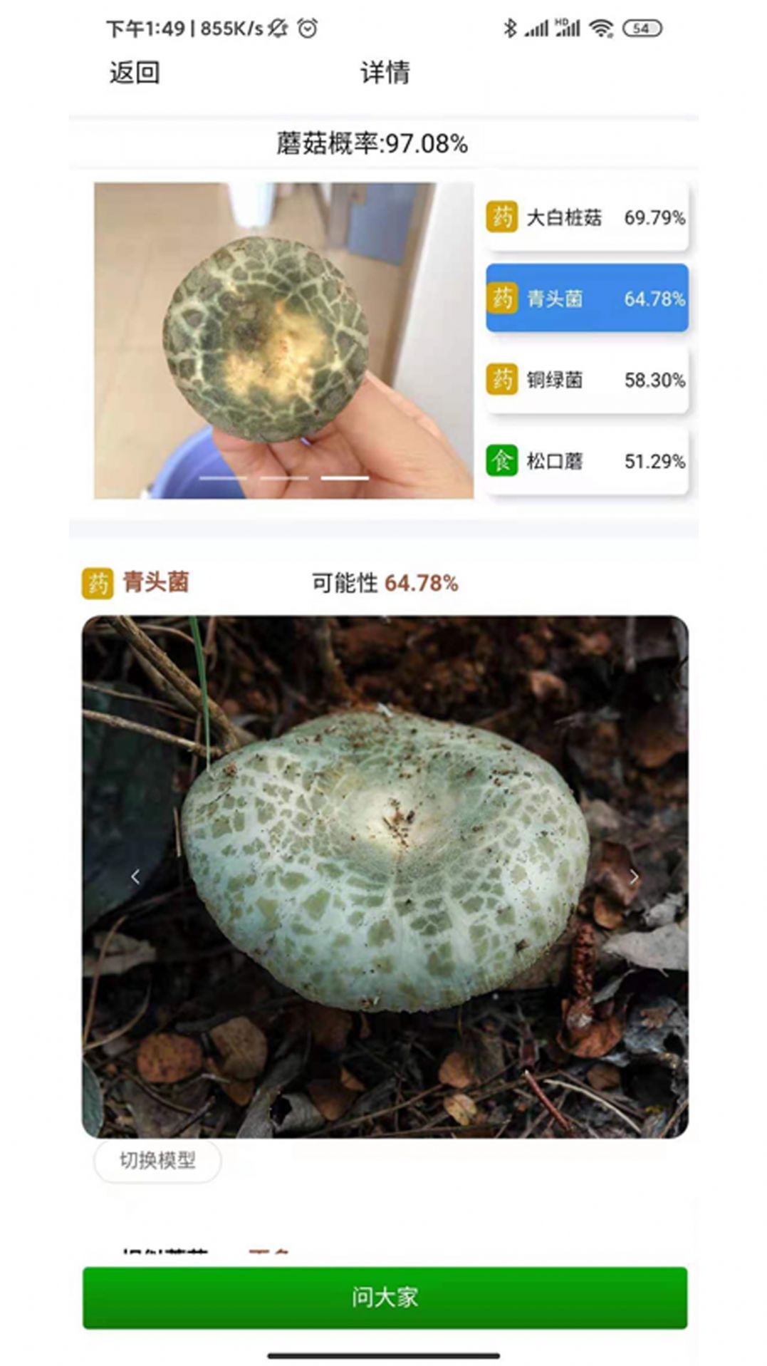 菌窝子(拍照识菌)