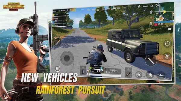 PUBG国际服绘制直装截图3