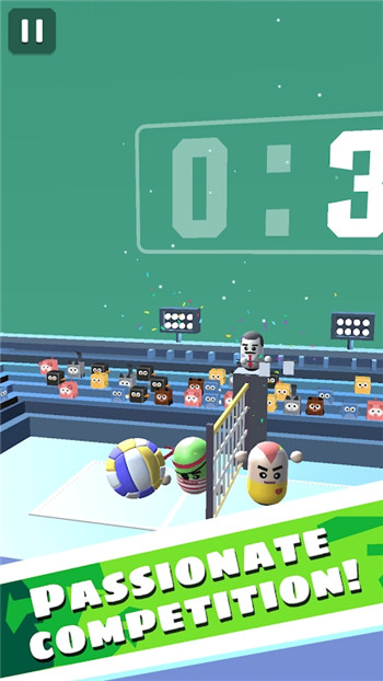 惊奇的3D排球(Amazing Volleyball 3D)2