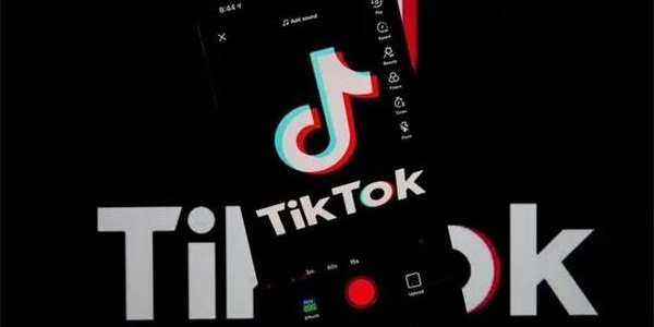 国际版tiktok色板