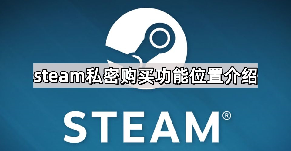 steam私密功能如何使用-steam私密购买功能位置介绍