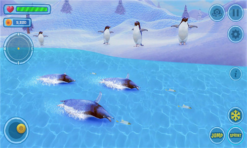 企鹅模拟器家庭生活(Penguin Simulator Family Life)截图1