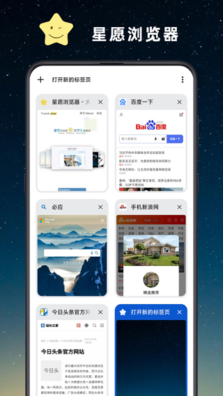 星愿浏览器截图2