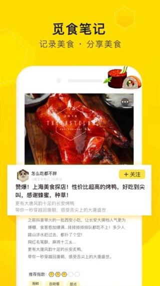 觅食蜂截图5