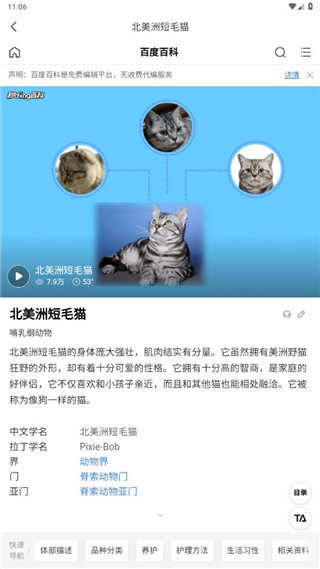 萌趣猫狗翻译器0