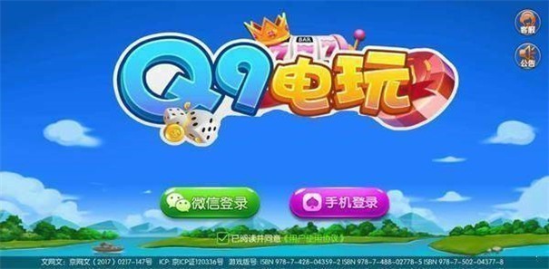 q9电玩截图1