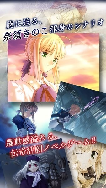 fate stay night(1)