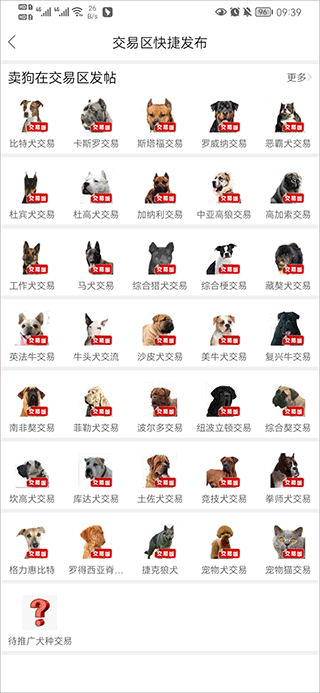 猛犬俱乐部