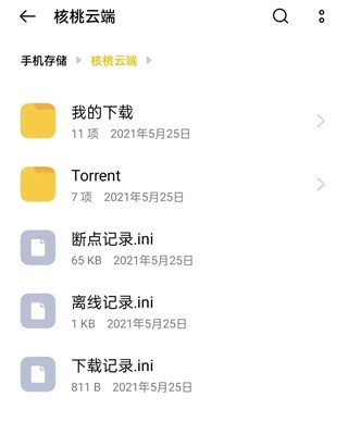 核桃云端app