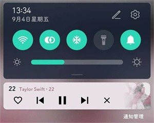 Musicolet功能介绍截图4